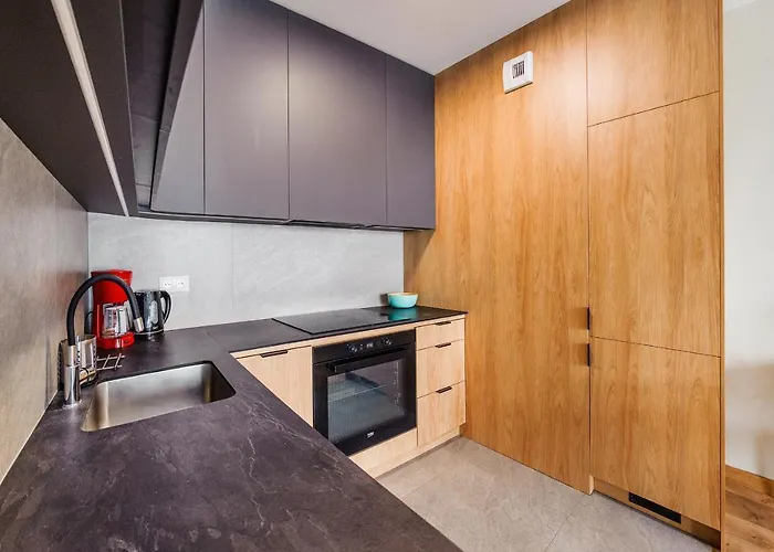 Blue Moon With Sea View - Spectrum Apartment Danzig